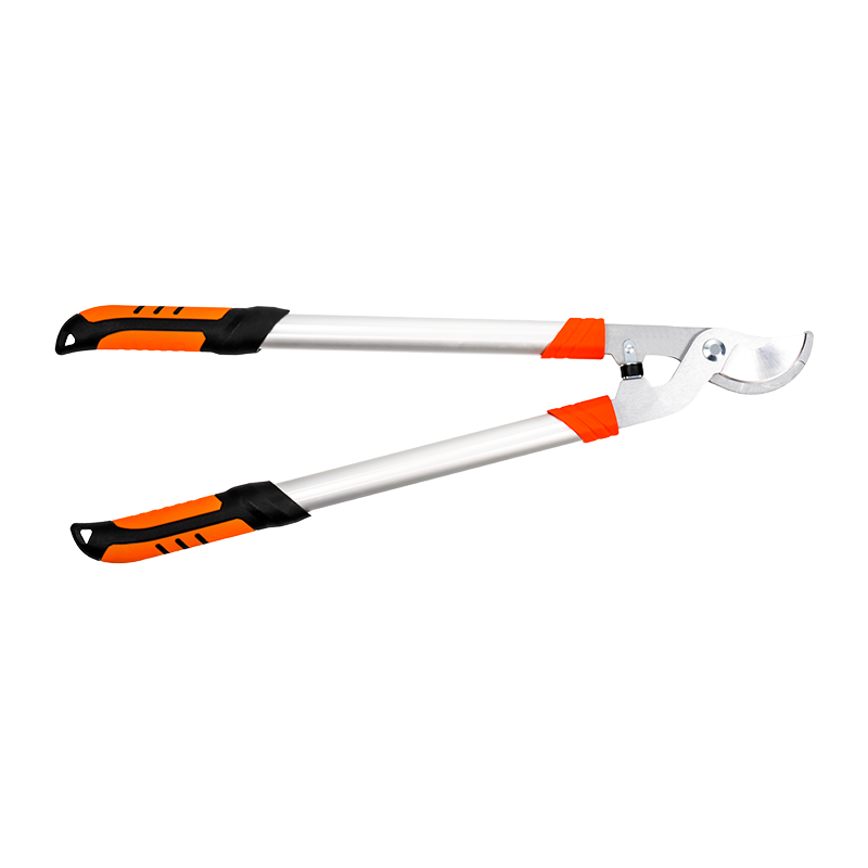 C4101 Loppers Seachbhóthar